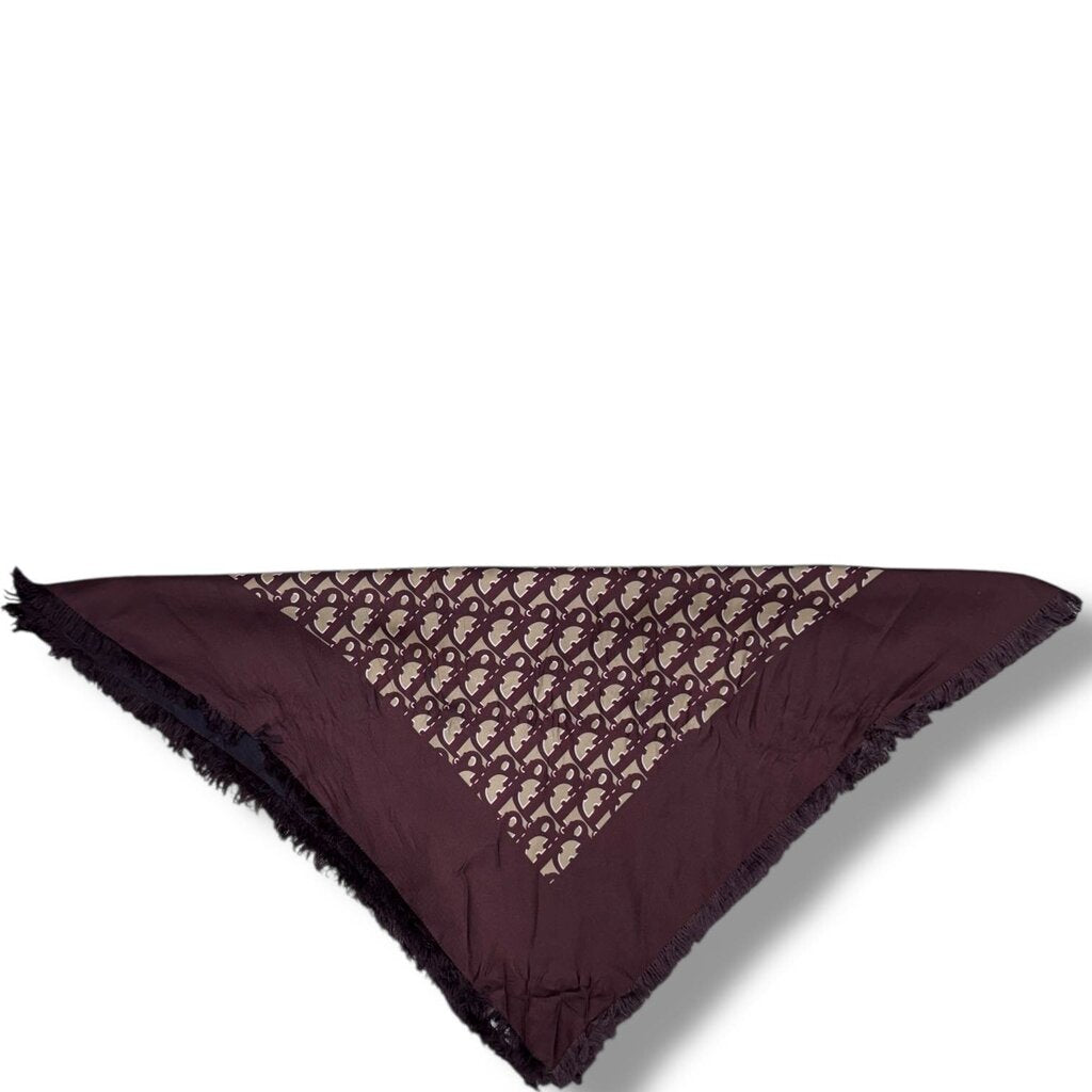 Christian Dior Trotter Silk Scarf Monogram – Urban Exchange
